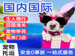 延安南泥湾国际宠物托运 【国